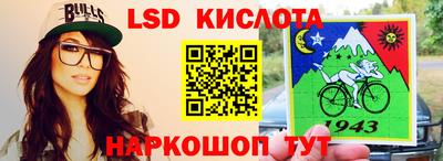 гашик Будённовск