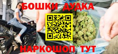гашик Будённовск