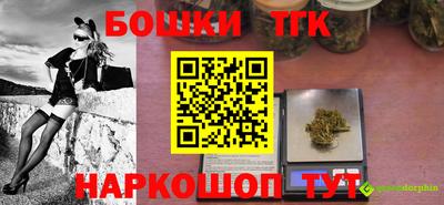 гашик Будённовск