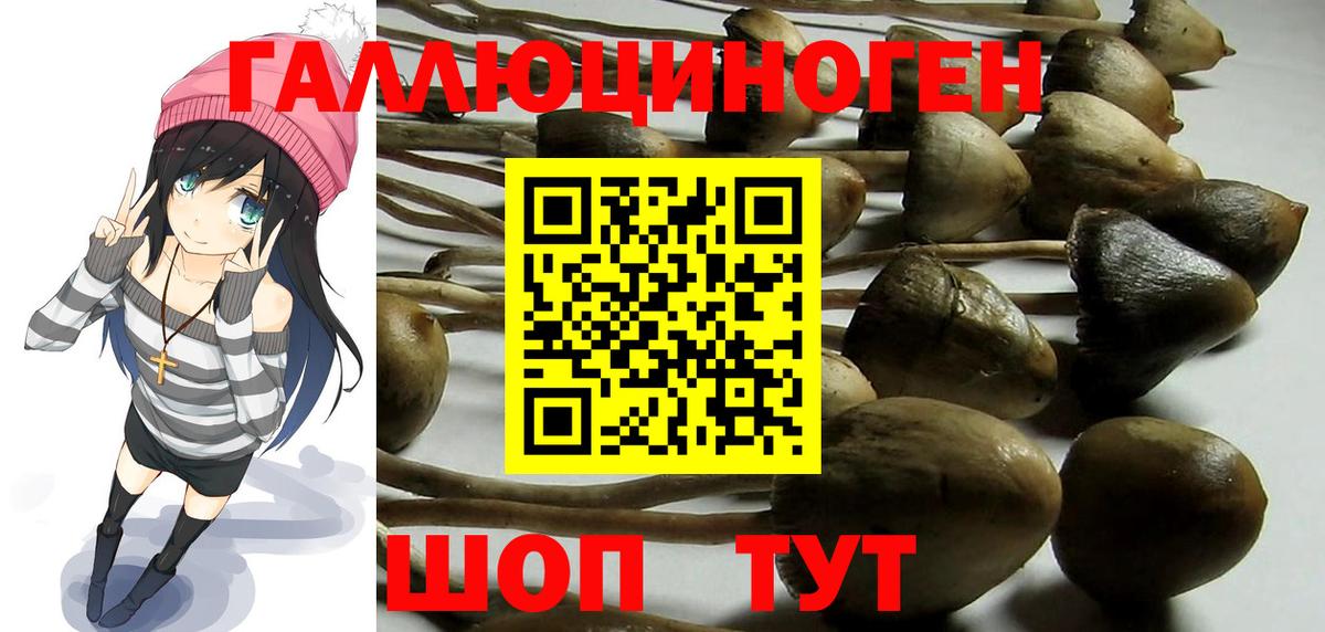 Галлюциногенные грибы Psilocybine cubensis  Псилоцибиновые грибы Magic Shrooms  где купить наркотик  Печора  Вход с VPN 